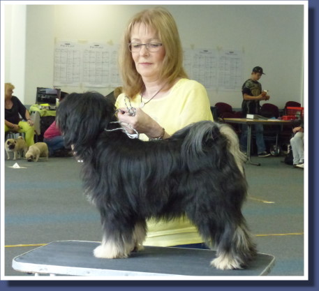 Yuma mit Frauchen in Oer-Erkenschwick
