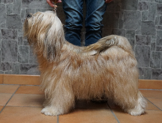 DSC01117