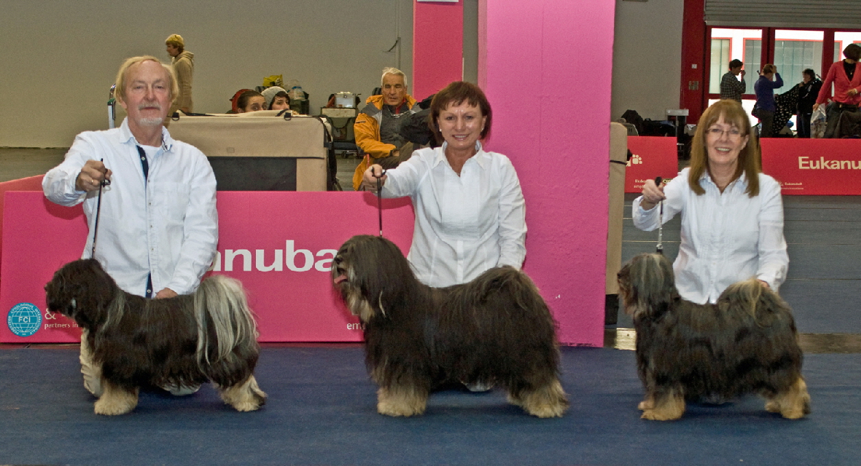 Unsere Zuchtgruppe: Dahrani, Sam und Ka-li