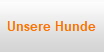 Unsere Hunde