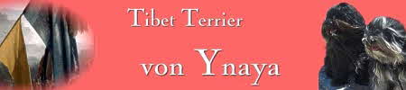 Banner-Ynaya